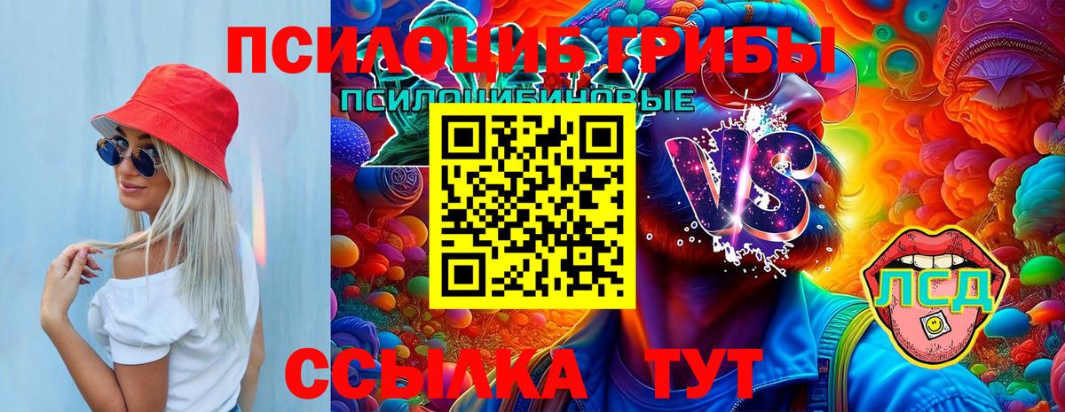 Нурлат  Псилоцибиновые грибы Cubensis  Галлюциногенные грибы Cubensis  где продают   Вход с VPN 