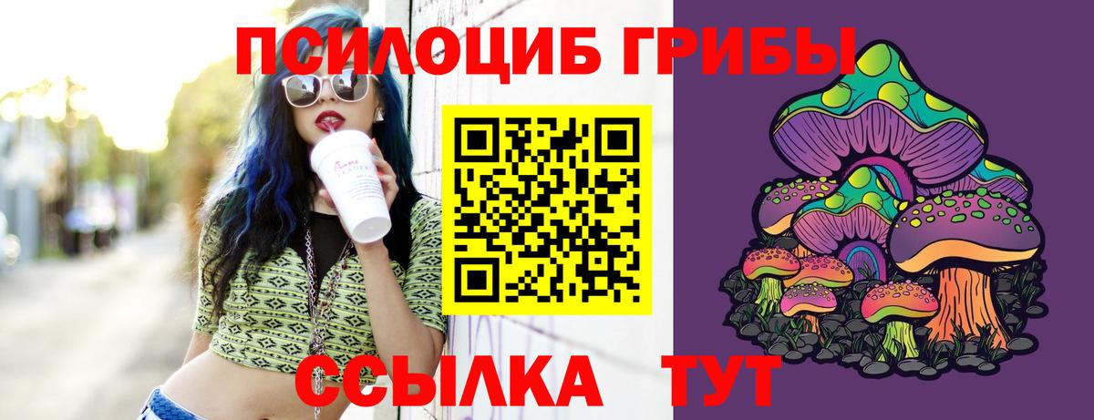 Галлюциногенные грибы GOLDEN TEACHER Нурлат